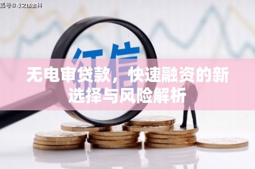 仙居无电审贷款，快速融资的新选择与风险解析
