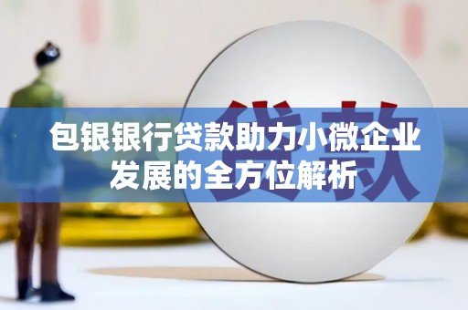 仙居包银银行贷款助力小微企业发展的全方位解析