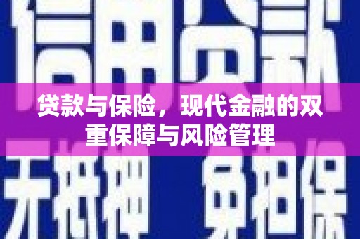 仙居贷款与保险，现代金融的双重保障与风险管理