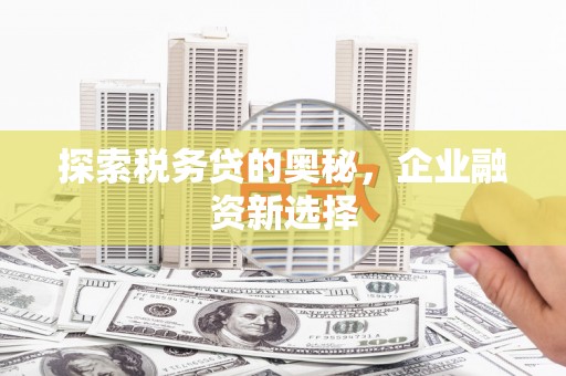 仙居探索税务贷的奥秘，企业融资新选择