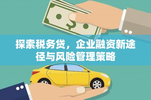仙居探索税务贷，企业融资新途径与风险管理策略
