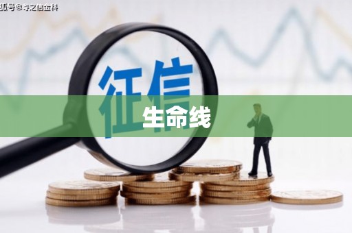 仙居生命线