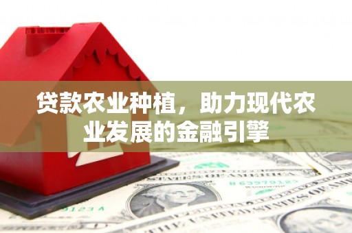 仙居贷款农业种植，助力现代农业发展的金融引擎