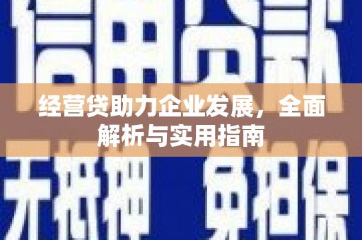 仙居经营贷助力企业发展，全面解析与实用指南