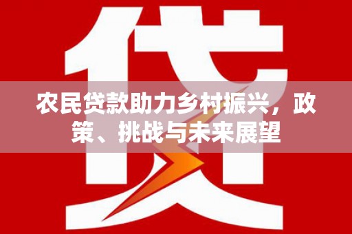 仙居农民贷款助力乡村振兴，政策、挑战与未来展望
