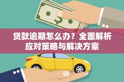 仙居贷款逾期怎么办？全面解析应对策略与解决方案