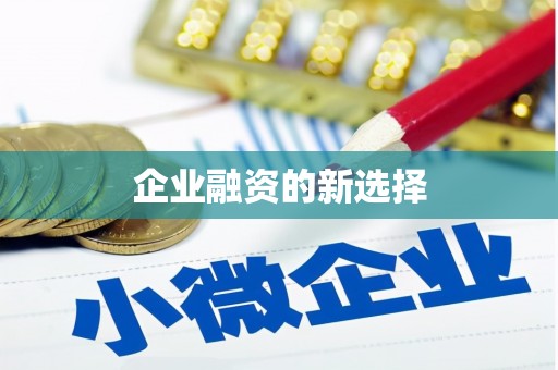 仙居企业融资的新选择
