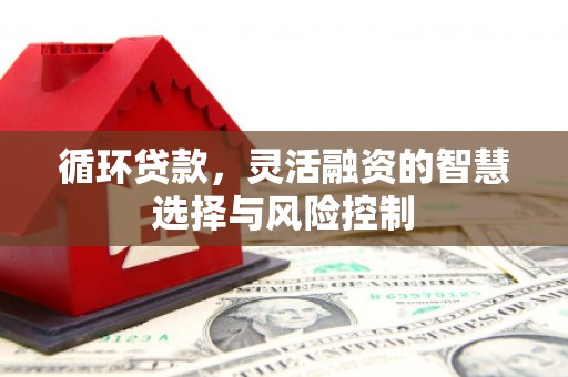 仙居循环贷款，灵活融资的智慧选择与风险控制