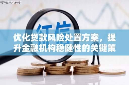 仙居优化贷款风险处置方案，提升金融机构稳健性的关键策略