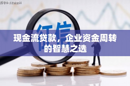仙居现金流贷款，企业资金周转的智慧之选
