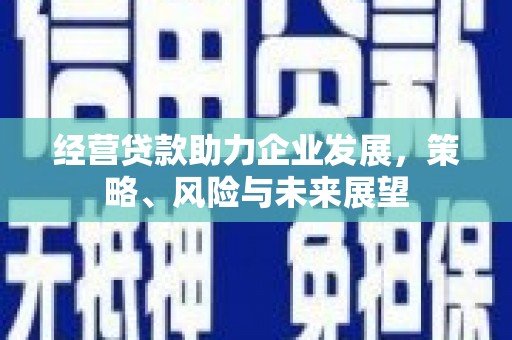 仙居经营贷款助力企业发展，策略、风险与未来展望