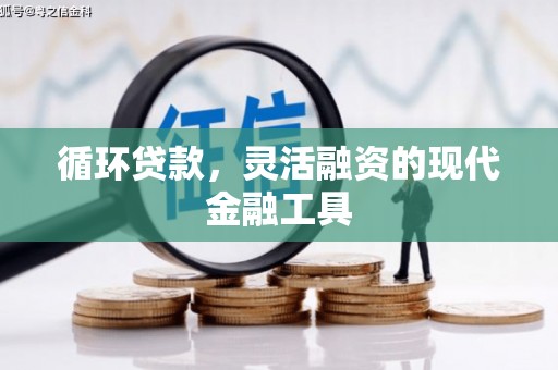 仙居循环贷款，灵活融资的现代金融工具