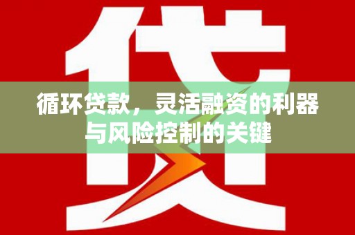 仙居循环贷款，灵活融资的利器与风险控制的关键