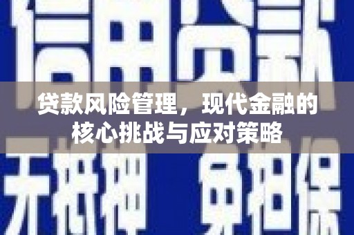 仙居贷款风险管理，现代金融的核心挑战与应对策略
