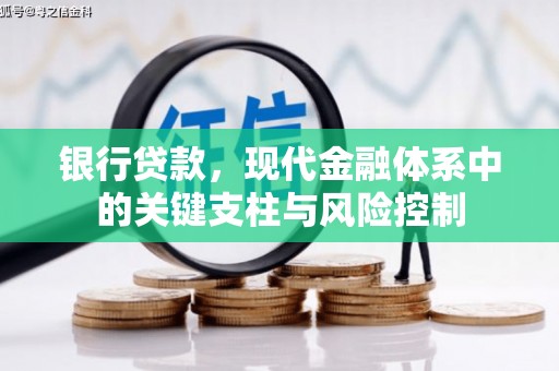 仙居银行贷款，现代金融体系中的关键支柱与风险控制
