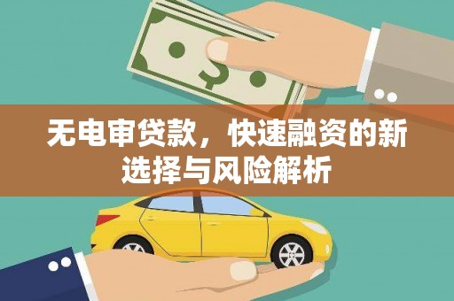仙居无电审贷款，快速融资的新选择与风险解析