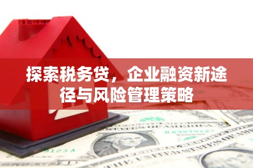 仙居探索税务贷，企业融资新途径与风险管理策略