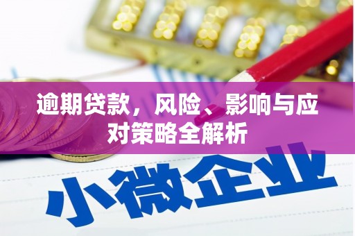 仙居逾期贷款，风险、影响与应对策略全解析