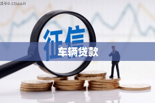 仙居车辆贷款