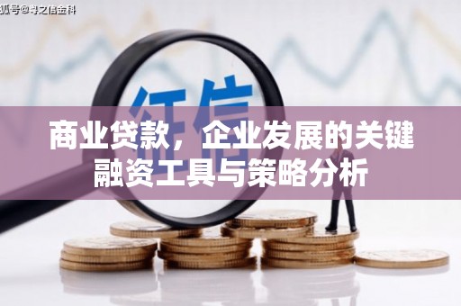 仙居商业贷款，企业发展的关键融资工具与策略分析