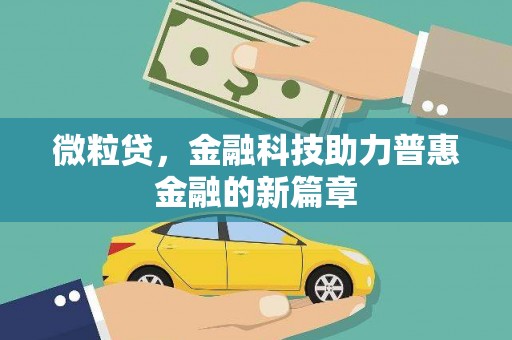 仙居微粒贷，金融科技助力普惠金融的新篇章