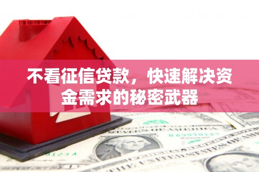 仙居不看征信贷款，快速解决资金需求的秘密武器