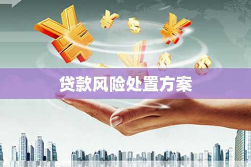 仙居贷款风险处置方案