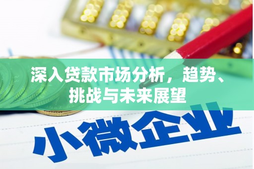 仙居深入贷款市场分析，趋势、挑战与未来展望
