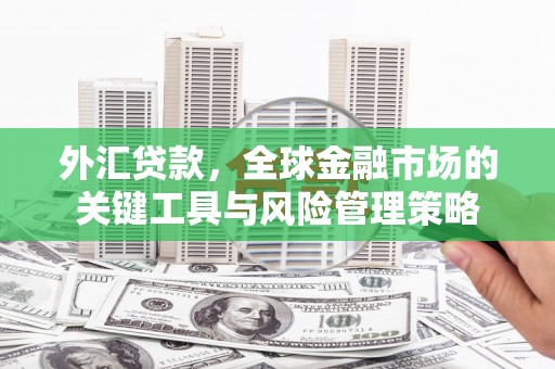 仙居外汇贷款，全球金融市场的关键工具与风险管理策略