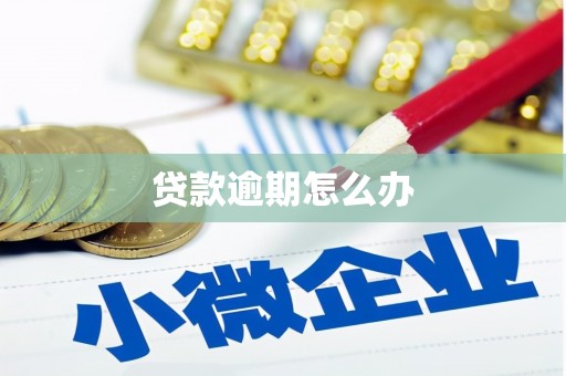 仙居贷款逾期怎么办