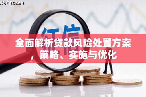 仙居全面解析贷款风险处置方案，策略、实施与优化