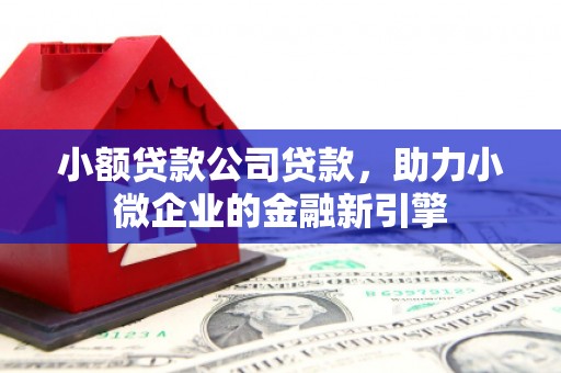 仙居小额贷款公司贷款，助力小微企业的金融新引擎