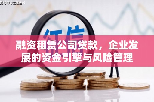 仙居融资租赁公司贷款，企业发展的资金引擎与风险管理
