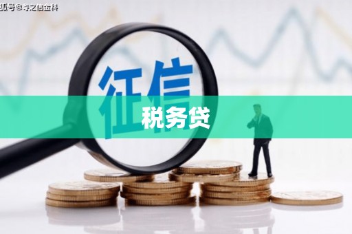 仙居税务贷