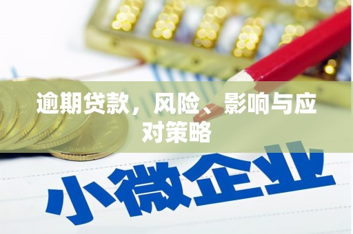 仙居逾期贷款，风险、影响与应对策略