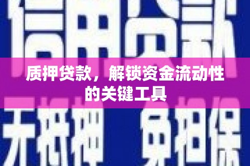仙居质押贷款，解锁资金流动性的关键工具