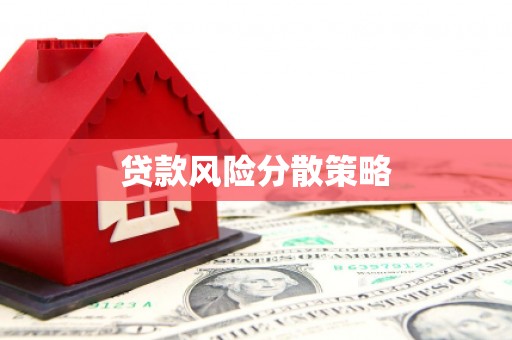 仙居贷款风险分散策略