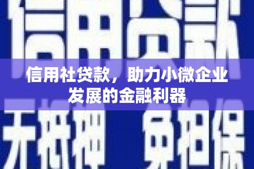 仙居信用社贷款，助力小微企业发展的金融利器