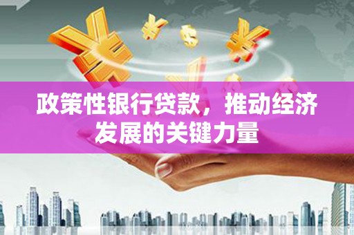 仙居政策性银行贷款，推动经济发展的关键力量