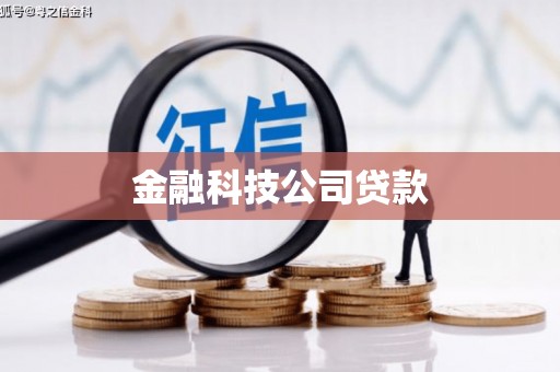 仙居金融科技公司贷款