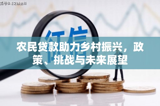 仙居农民贷款助力乡村振兴，政策、挑战与未来展望