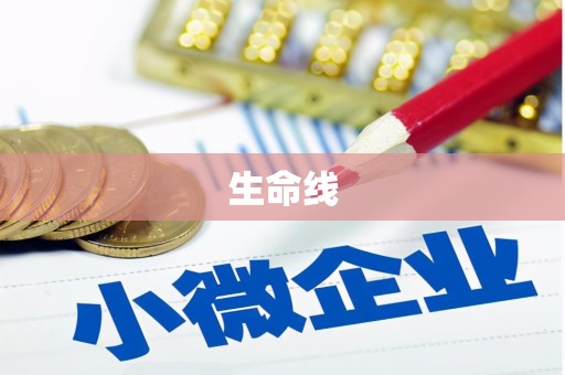 仙居生命线
