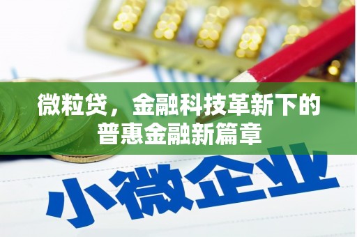 仙居微粒贷，金融科技革新下的普惠金融新篇章