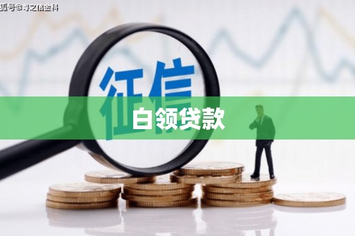 仙居白领贷款