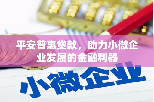 仙居平安普惠贷款，助力小微企业发展的金融利器