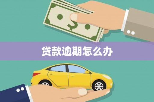 仙居贷款逾期怎么办