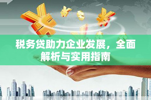 仙居税务贷助力企业发展，全面解析与实用指南