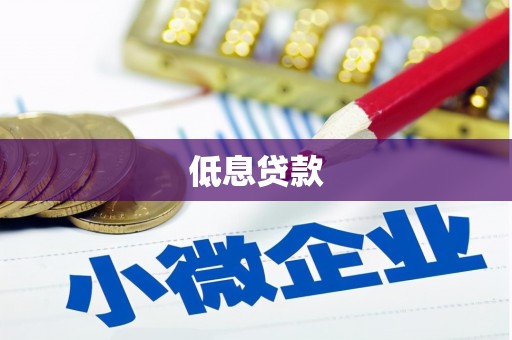 仙居低息贷款