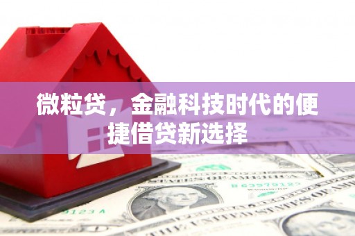仙居微粒贷，金融科技时代的便捷借贷新选择