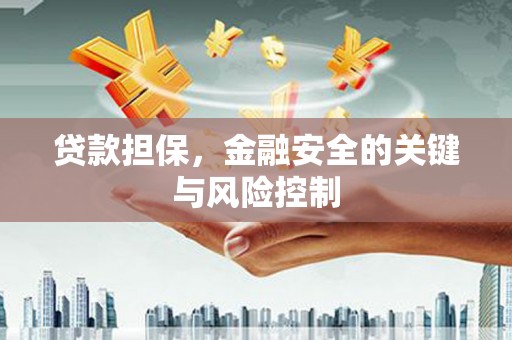 仙居贷款担保，金融安全的关键与风险控制